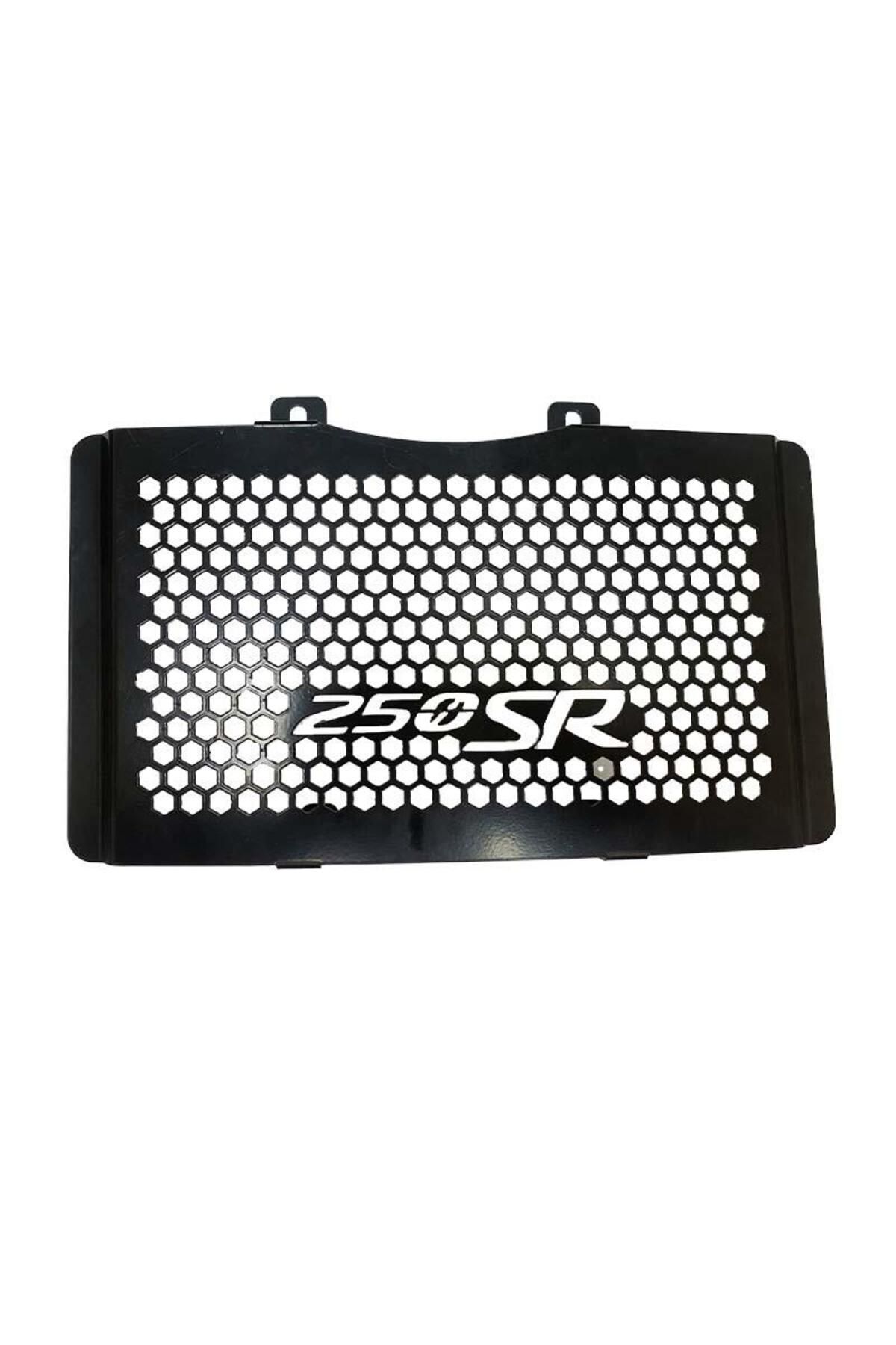 250 Sr 2020 - 2022 Uyumlu Radyatör Koruma