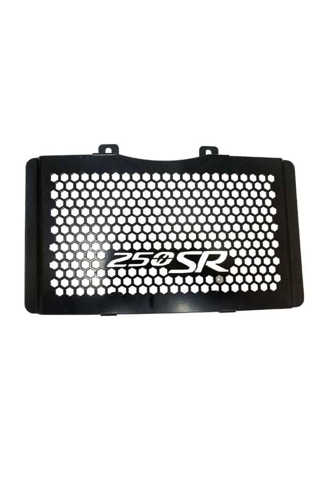 250 Sr 2020 - 2022 Uyumlu Radyatör Koruma