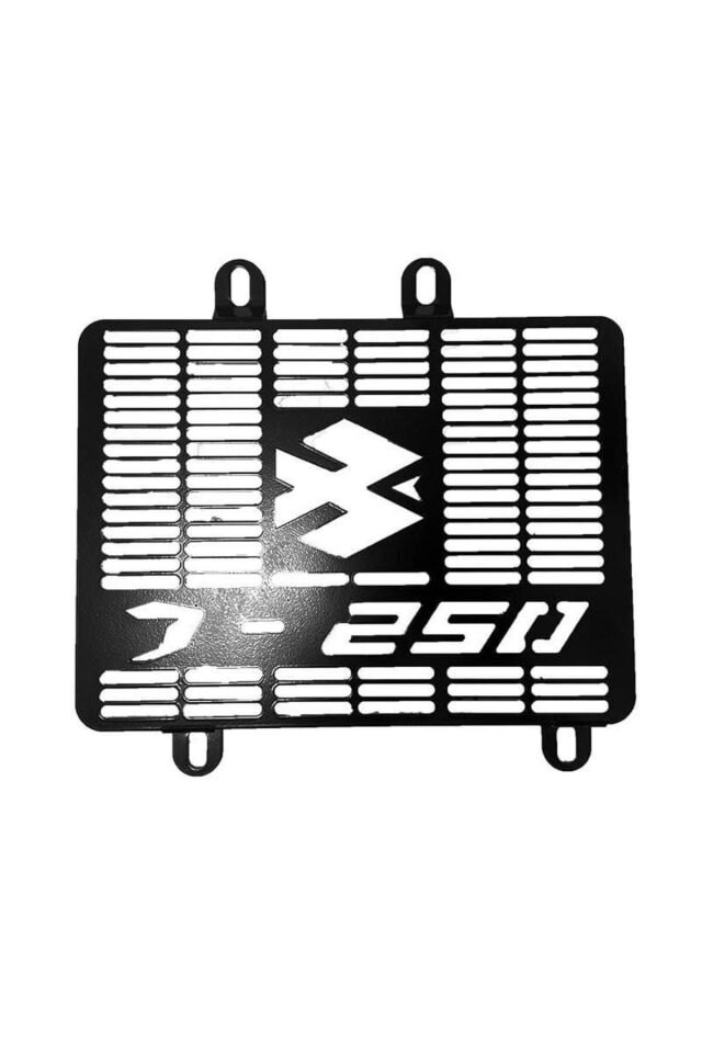 Bajaj Dominar 250 2017 - 2023 Uyumlu Radyatör Koruma Demiri Ggm-özel118